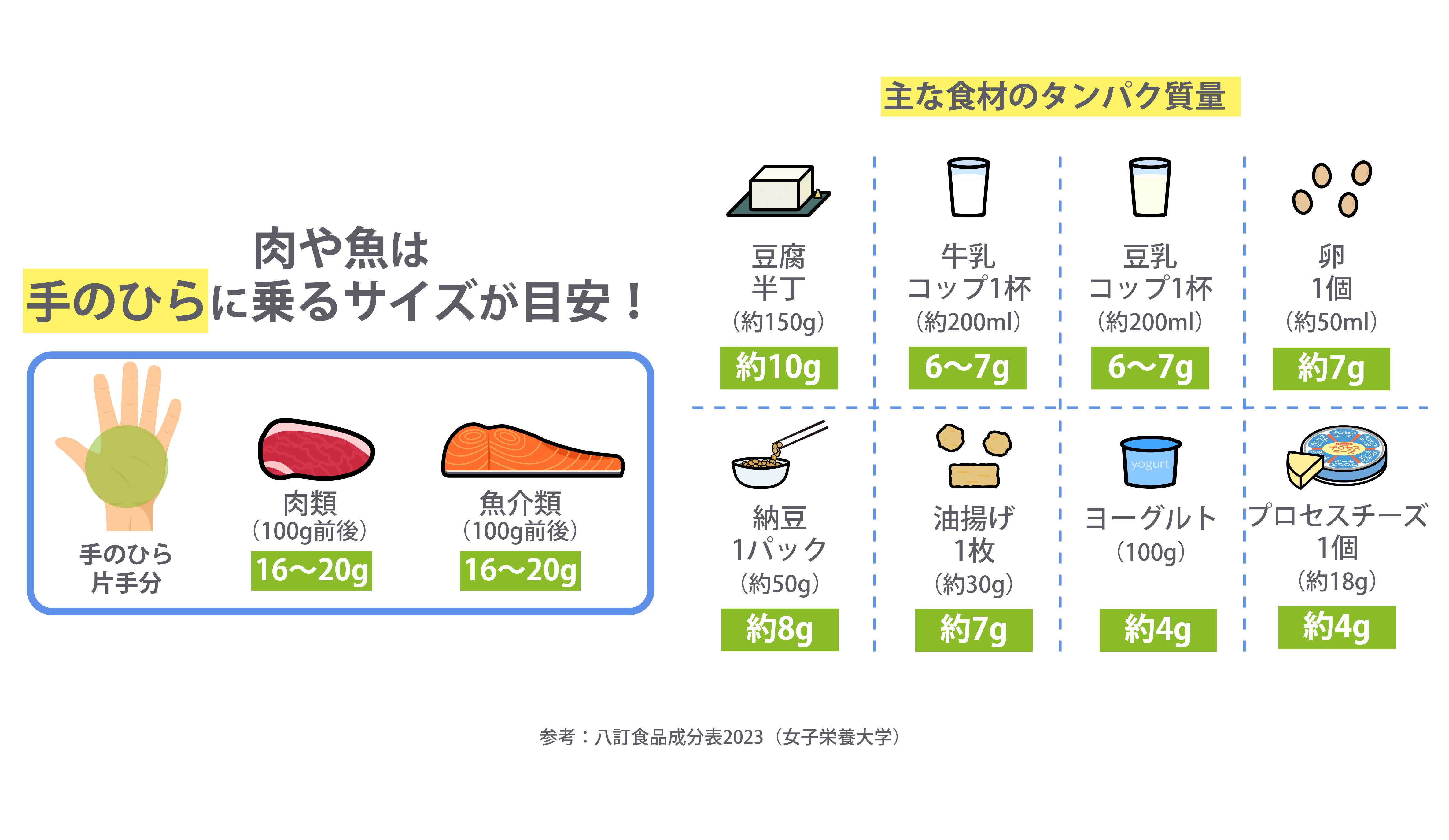 主な食材のタンパク質量