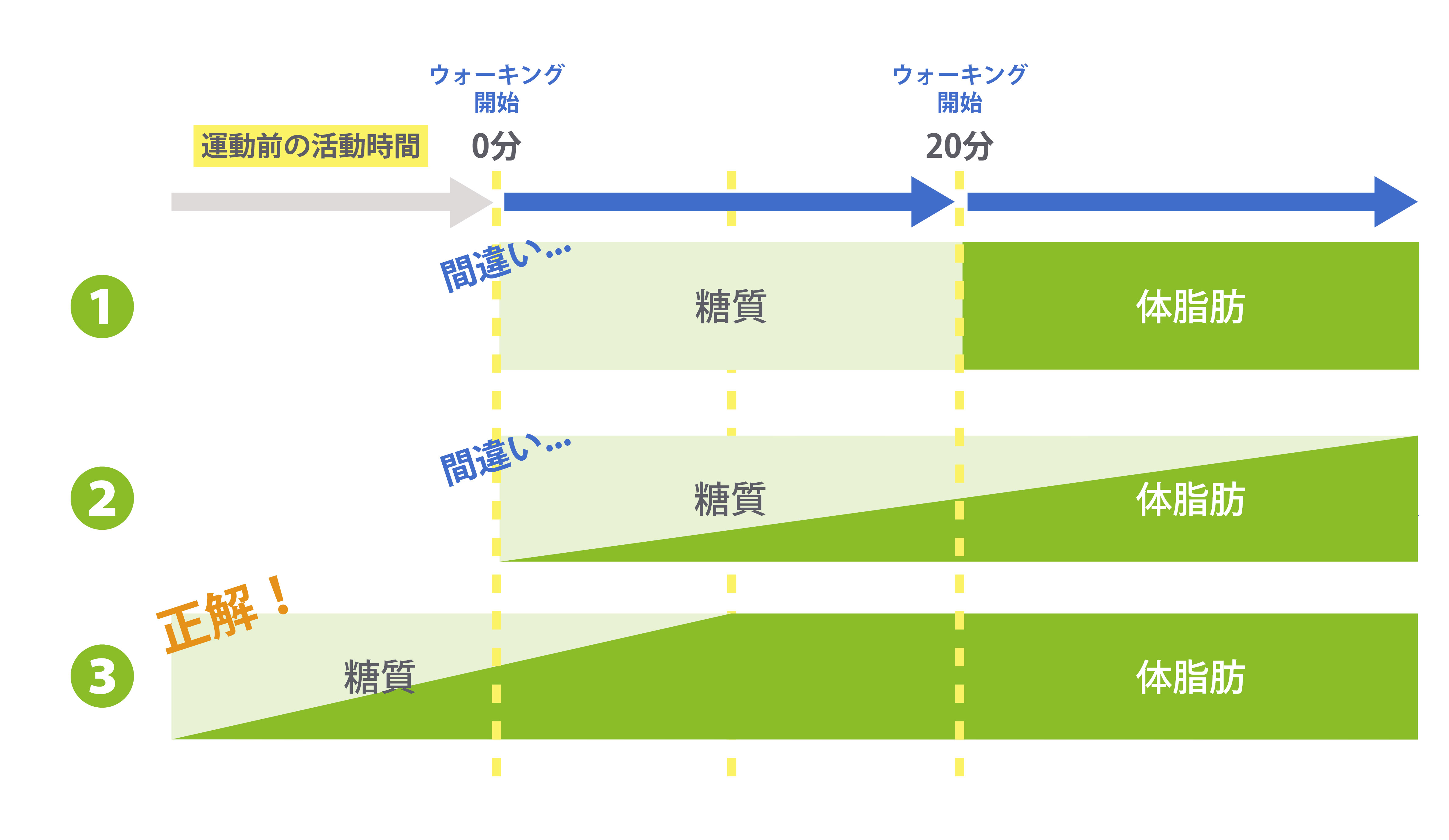 脂肪燃焼が始まる時間