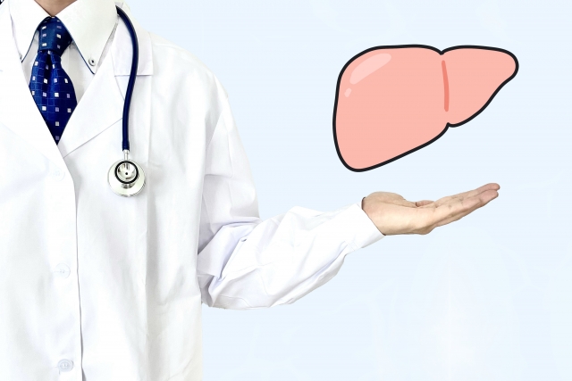 男⼥でここまでちがう？！健康問題の違いとは？〜ライフサイクルと性ホルモン〜